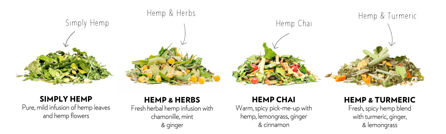 Dutch Harvest hemp tea blends. Pure CBD Hemp, Hemp & Herbs, Hemp Chai and Hemp & Turmeric.