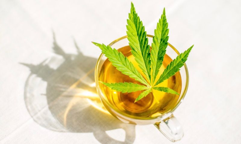 What is CBD good for? what is the effect of hemp tea?
