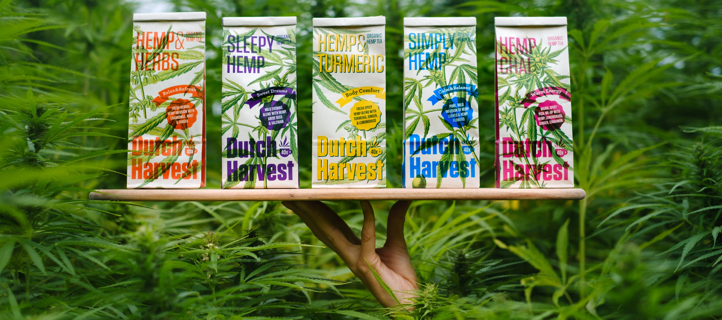 Home - Dutch Harvest - Heavenly Hemp tea from Holland