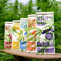 Dutch-Harvest-Hemptea-5-packs-tea-table2