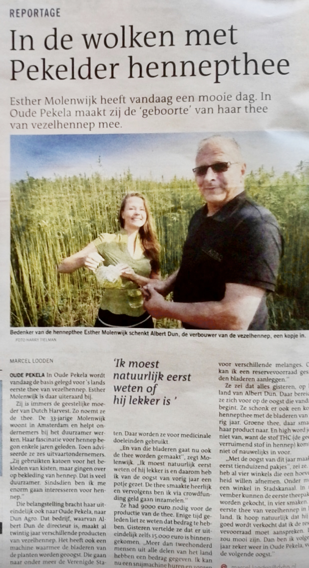 Dutch Harvest hennepthee in dagblad van het noorden