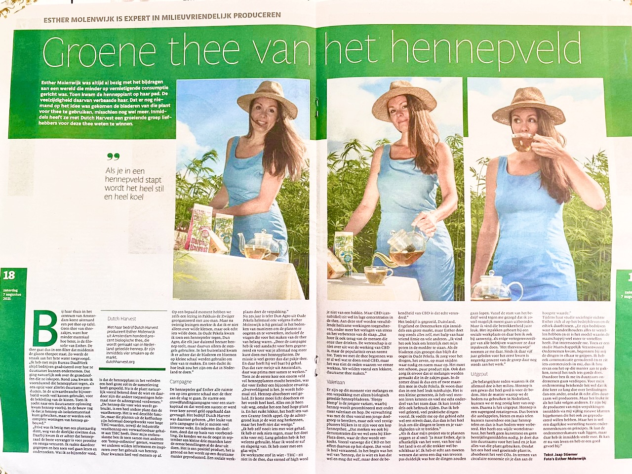 Dutch Harvest thee interview Esther Molenwijk zomertijd